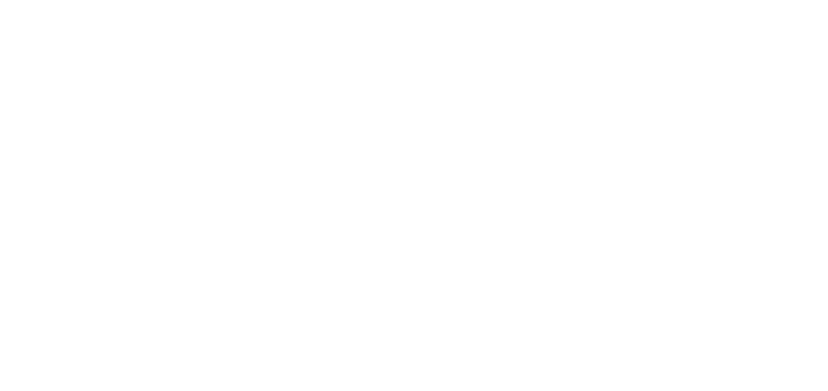 CHIP